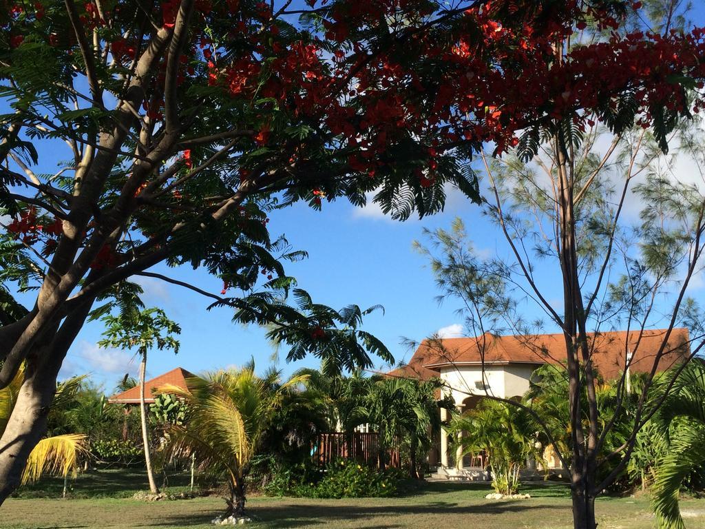 La villa émeraude Saint-Francois  Exterior foto